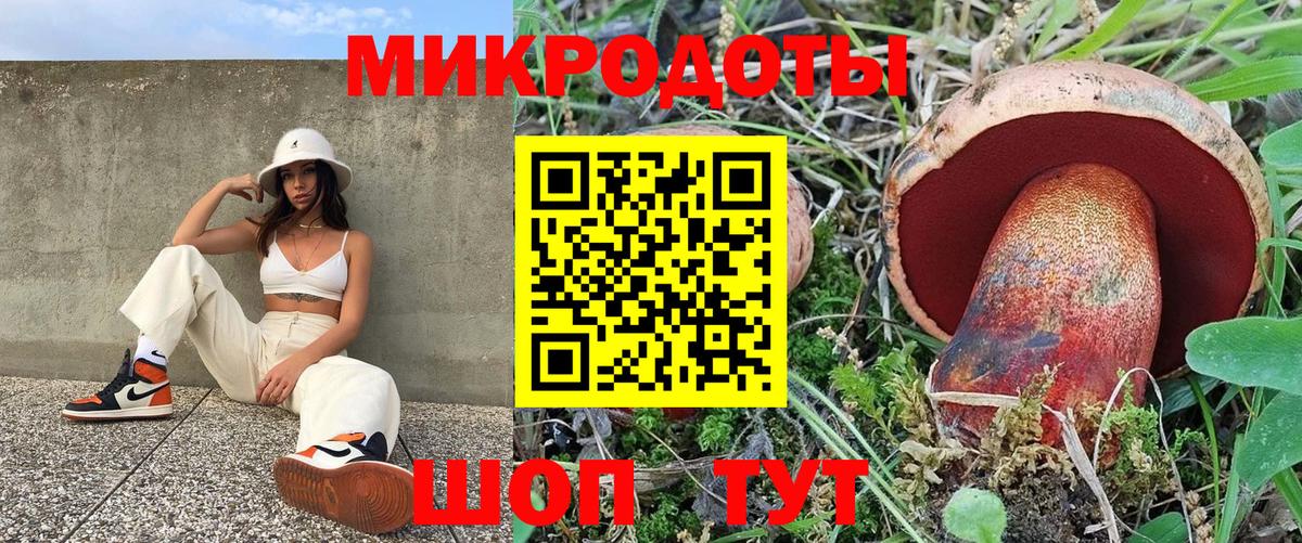 Иваново  Галлюциногенные грибы Magic Shrooms  Вход с VPN  Псилоцибиновые грибы Psilocybine cubensis 