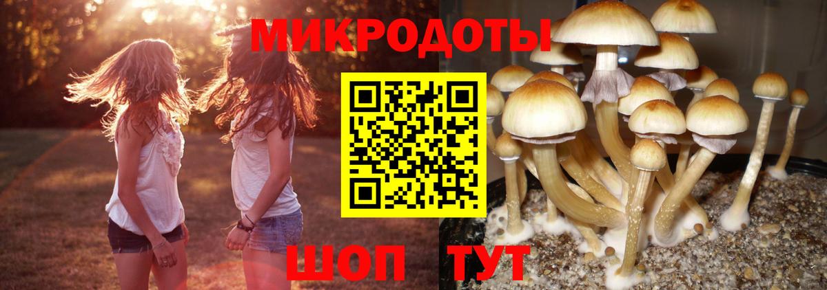Галлюциногенные грибы Magic Shrooms Иваново